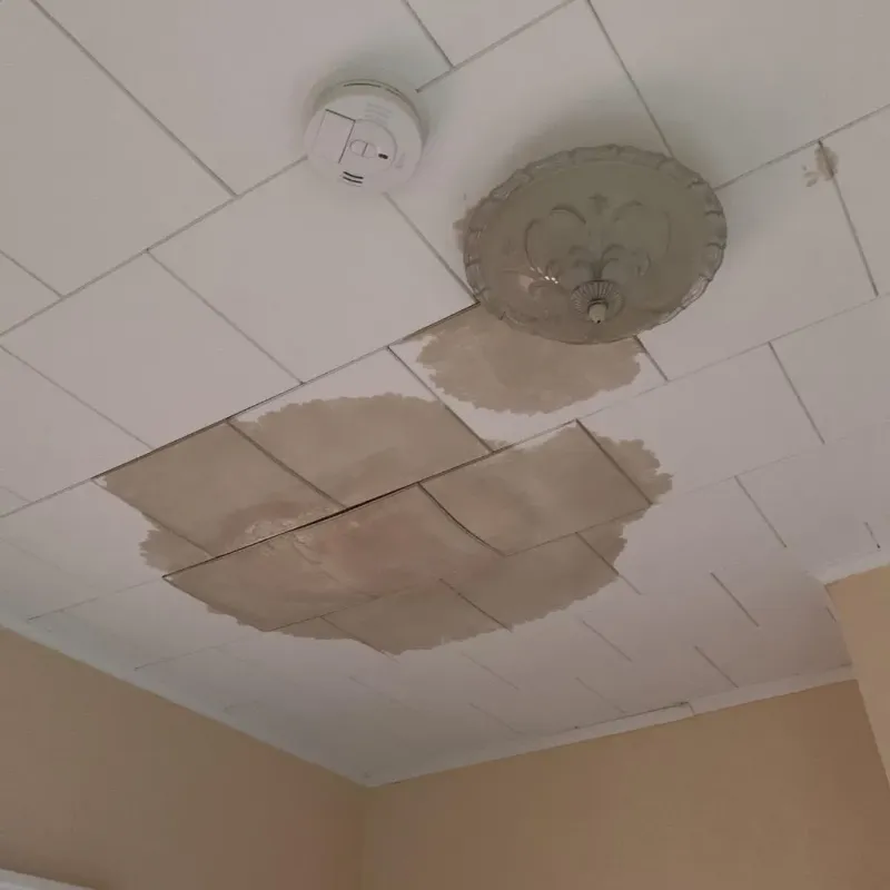 Ceiling Water Damage Repair in Corry, PA