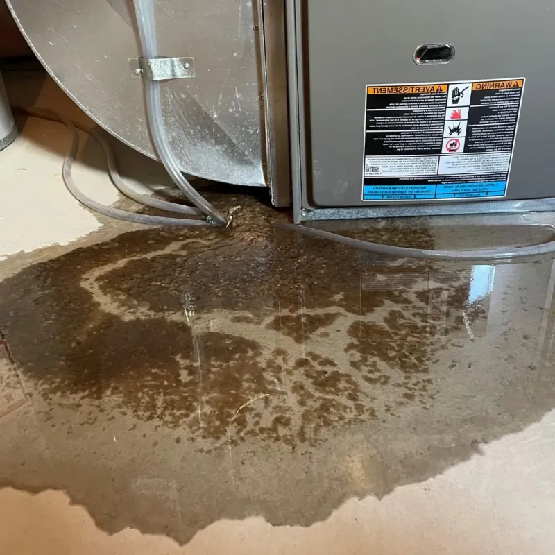 Pipe Burst and Leak Restoration in Corry, PA