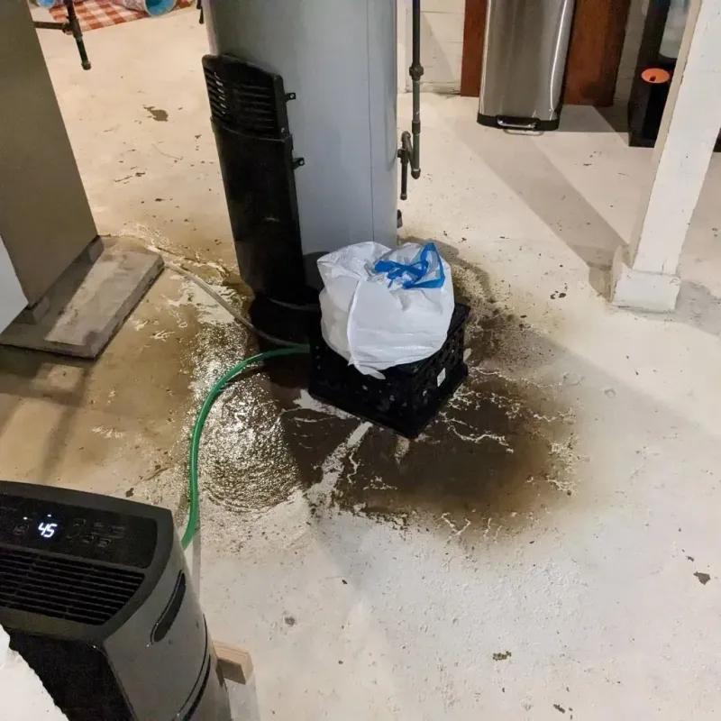 Sewage Backup Cleanup Service in Corry, PA